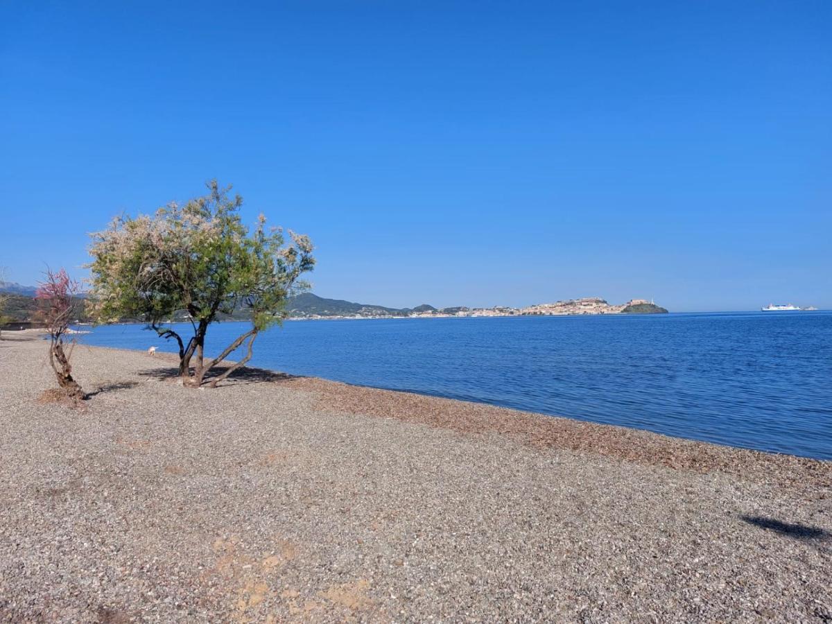 Villa Giolu Portoferraio Eksteriør billede