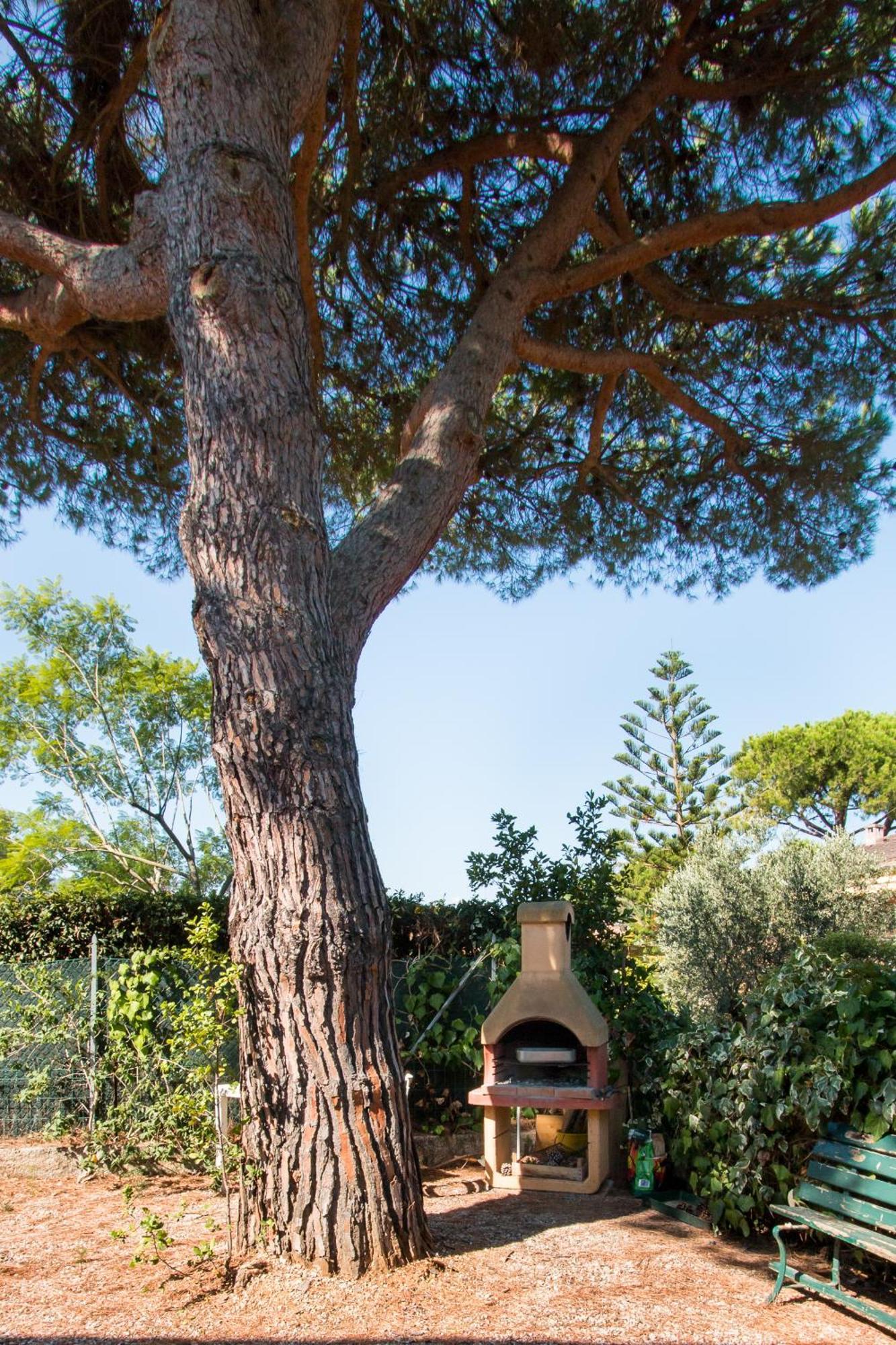 Villa Giolu Portoferraio Eksteriør billede